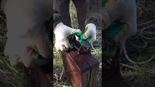 Нашли военный ящик на поисковый магнит