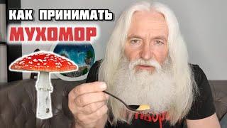 МУХОМОР. Инструкция по употреблению.