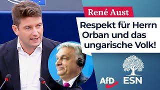 Respekt für Herrn Orban und das ungarische Volk! – René Aust (AfD)