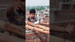Pigeon Catch  | Zohaib Pendu | #shorts