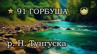  р. Нижняя Тунгуска  Горбуша  Русская рыбалка 4 