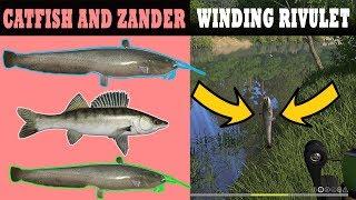 Best Catfish and Zander | Winding Rivulet Russian Fishing 4