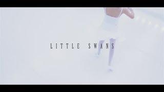 Little Swans by Yury Himin