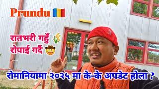 Romania  || रोमानियामा २०२५ मा के-के अपडेट होला ? || गहुँ रोपाई हुँदै 