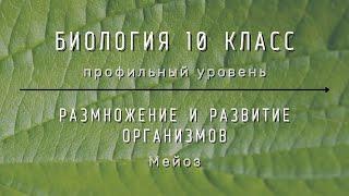 Биология 10 кл Проф уровень §40 Мейоз