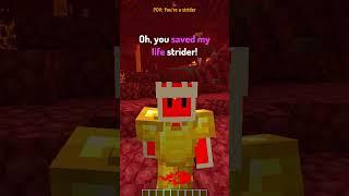 POV: You're a NETHER Mob in Minecraft┃pt 2