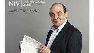 David Suchet NIV Bible 1131 Titus 2