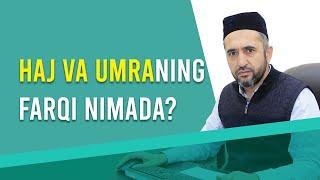 HAJ VA UMRANING FARQI NIMADA? | DINIY SAVOL-JAVOB | MUHAMMAD AYYUB DOMLA