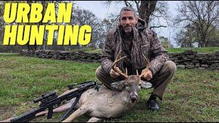 Urban Hunting White Tail Deer