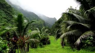 Tahiti Island. French Polynesia