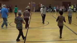 REMEDY Line Dance @ 2014 Seattle Washington Workshop with Ira Weisburd