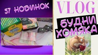 VLOG: Будни колориста 35 - 57 новых раскрасок/Раскраски антистресс