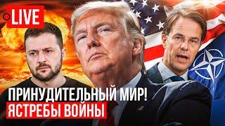  LIVE! Зеленский хочет войны, Трамп хочет мир! Арест депутата Шевченко. Выборы в Украине.