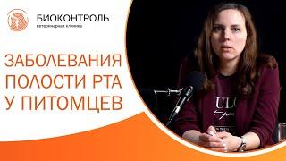  Стоматолог о заболеваниях полости рта у собак и кошек. Стоматология собак и кошек. 12+