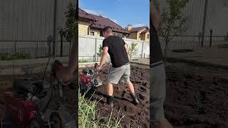 Свой дом