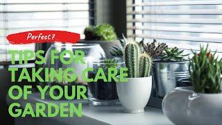 Tips for taking care of your garden / Perfect7