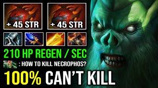 100% CAN'T KILL Nobody Can Stop 105 AOE Radiance Burning Dmg 210 HP Regen Per Sec Necrophos Dota 2