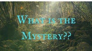 The Mystery of You (The Quest of Life Purpose)