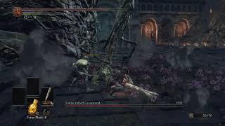 DARK SOULS III - Cursed Rotted Greatwood Boss