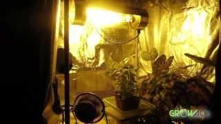 HID Grow Light Digital Dimming Ballast REVIEW Solarlux Series Hydroponics GrowAce.com