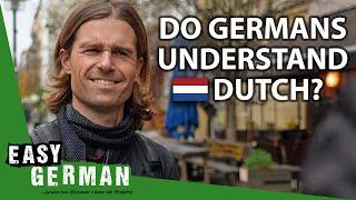 Can Germans Understand Dutch? | Easy German 428