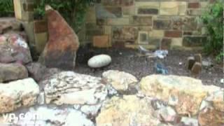 Bedrock Stone & Design Austin TX Landscaping Supplies