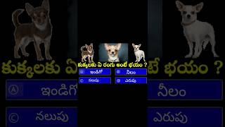 interesting Telugu GK questions local knowledge interesting general knowledge #shorts #dogshorts