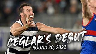 Ceglar's Debut Highlights | Round 20