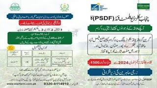 PSDF (Punjab Skills Development Fund) Free Scholarship Course | How to Apply|| Free certificate