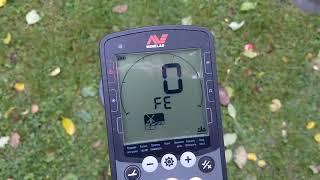 Minelab Equinox и крупное железо на максимальном Fe2