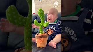 siddhant kumar cute doll video ️