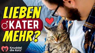 Lieben Kater ihre Menschen mehr als Katzen? 