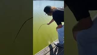 Fishing with my son on Father’s Day