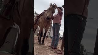 Be careful!! #equinescience #bits #horseriding #horsetraining #bitvsbitless #equineindustry #horse