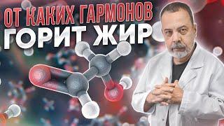 ОТ КАКИХ ГОРМОНОВ ГОРИТ ЖИР АЛЕКСЕЙ КОВАЛЬКОВ О САМЫХ СИЛЬНЫХ ЖИРОСЖИГАЮЩИХ ГОРМОНАХ- КАК ГОРЯТ ЖИРЫ