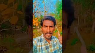 #new #video #funny #naseem ️https://youtube.com/shorts/agEmFEc80xU?si=QaEIeo4xovyW_SHH