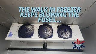 THE WALK IN FREEZER KEEPS BLOWING THE FUSES