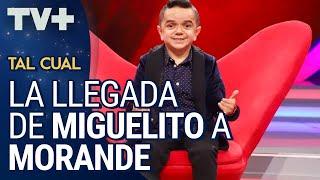 ¿Cómo llegó Miguelito a Morandé?