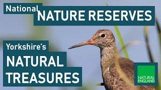 National Nature Reserves: Yorkshire’s Natural Treasures