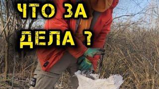 ПРОСТЫЕ ДЕЙСТВИЯ ДЛЯ СПАСЕНИЯ ПЛАНЕТЫ! Помогите природе, сделав репост видео.