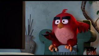 ANGRY BIRDS are headed to AMC Theatres May 20th