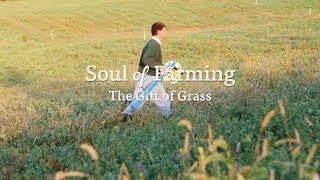 Jeff Miller | Gift of Grass | Organic Valley Farmers