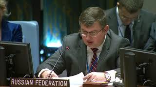 Statement by Mr. Alexander Repkin at the UN Security Council Meeting on Abyei