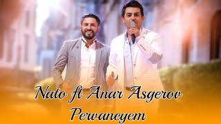 Nato ft Anar Askerov - Pervaneyem 2024 (Resmi Video Music)