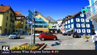 Lavaux Vineyards Switzerland  Ep#9 - Scenic Spring Road Trip from Jongny Vaud to Vuadens Fribourg