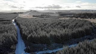 Bellever Forest and Tor Dartmoor 4k drone footage