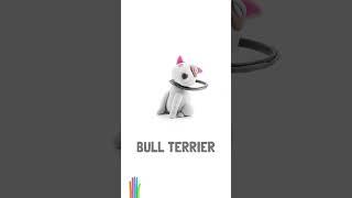 This Bull Terrier uses his heart-shaped nose to spread the love around ️