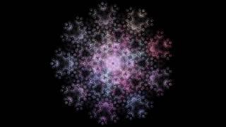 Iterated Function System Fractals