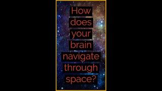  How does your brain navigate through space? 