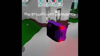 the brookhaven experience  #roblox #foryou #fyp #brookhaven